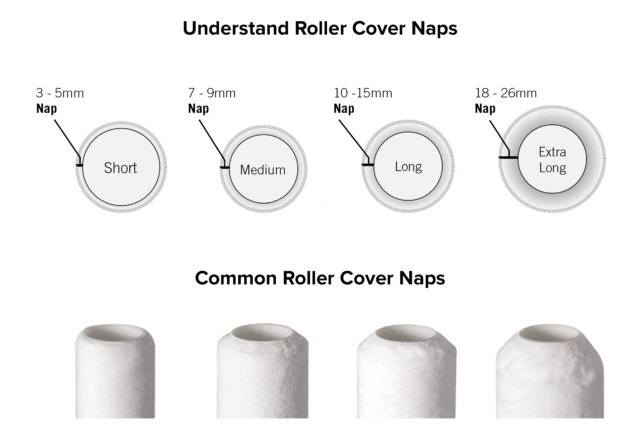 Choosing a Foam Roller: Types & Sizes